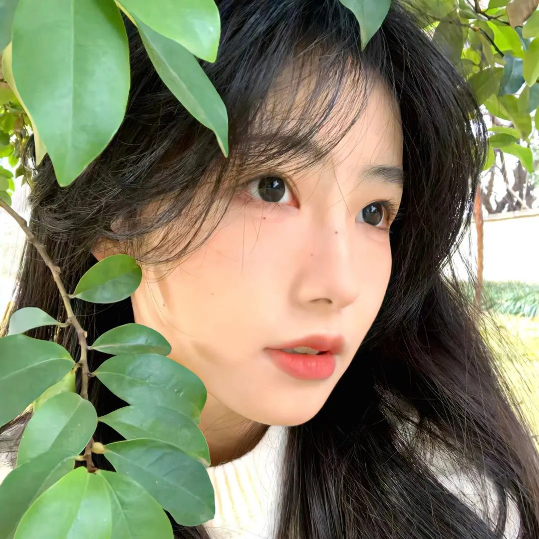卧虎传说